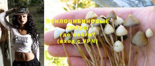 первитин Михайловск