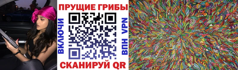Галлюциногенные грибы Magic Shrooms  Купить где  Луза 