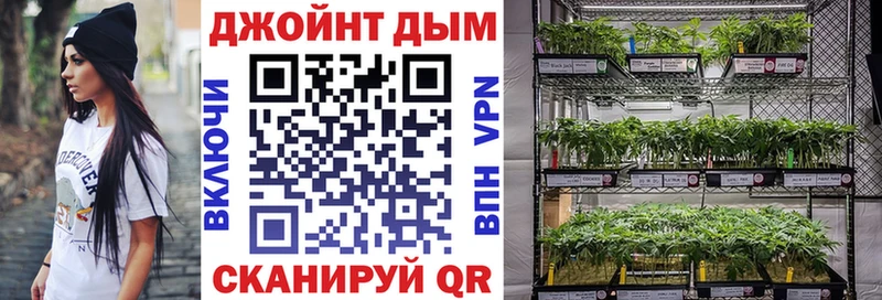 Бошки марихуана конопля  Купить где  Луза 